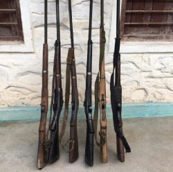 छ नाल भरुवा बन्दुक बरामद